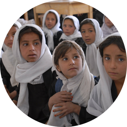 专业办公版的免费轰炸网页版